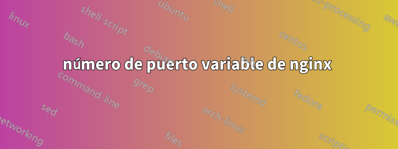 número de puerto variable de nginx