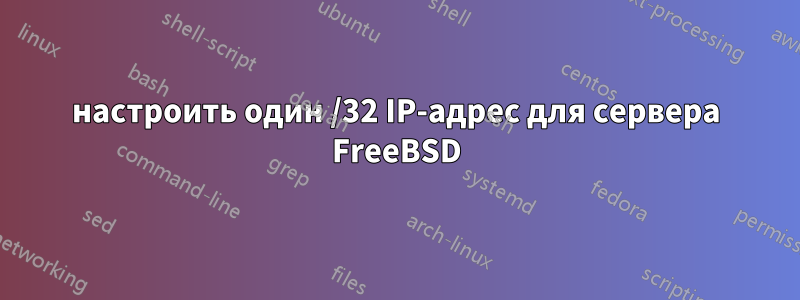 настроить один /32 IP-адрес для сервера FreeBSD