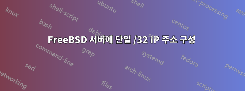 FreeBSD 서버에 단일 /32 IP 주소 구성