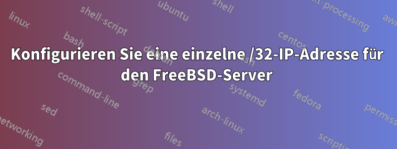 Konfigurieren Sie eine einzelne /32-IP-Adresse für den FreeBSD-Server