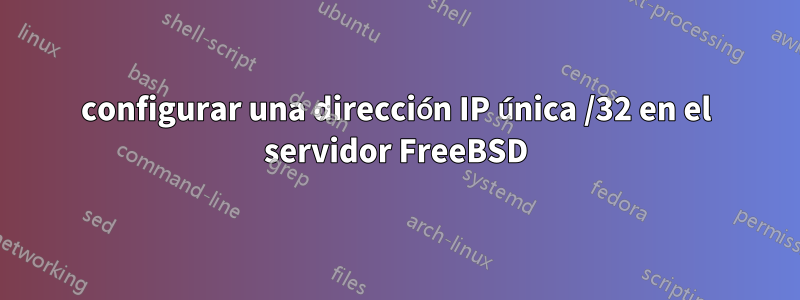 configurar una dirección IP única /32 en el servidor FreeBSD