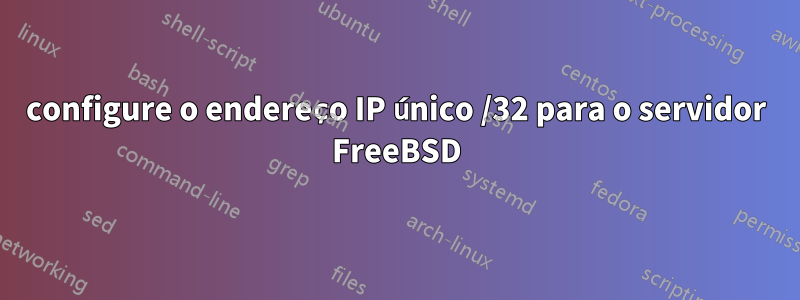 configure o endereço IP único /32 para o servidor FreeBSD