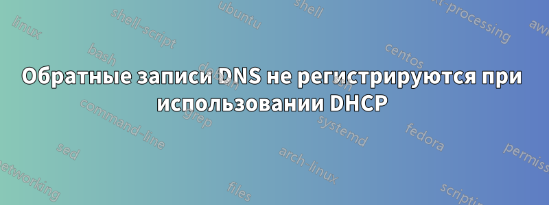 Обратные записи DNS не регистрируются при использовании DHCP