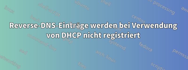 Reverse-DNS-Einträge werden bei Verwendung von DHCP nicht registriert