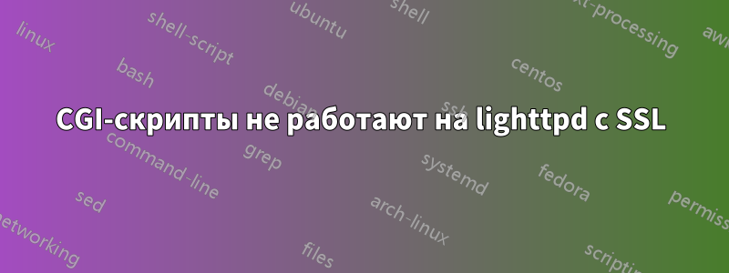 CGI-скрипты не работают на lighttpd с SSL