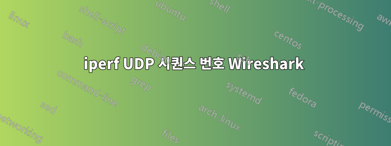 iperf UDP 시퀀스 번호 Wireshark