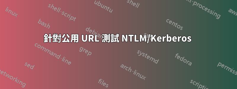 針對公用 URL 測試 NTLM/Kerberos