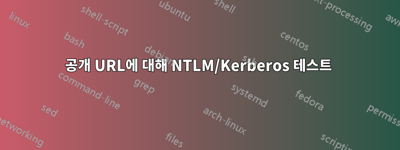 공개 URL에 대해 NTLM/Kerberos 테스트