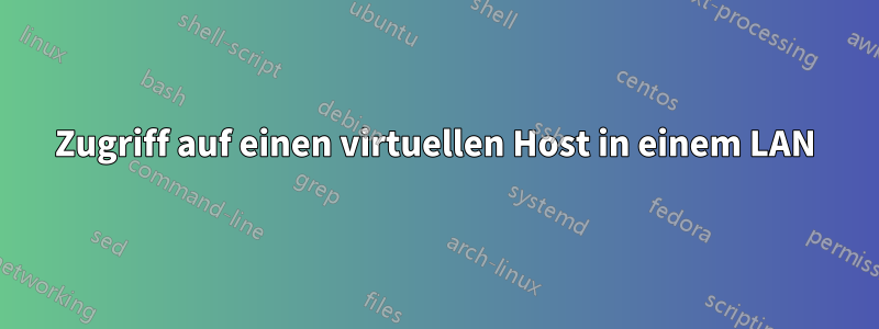 Zugriff auf einen virtuellen Host in einem LAN