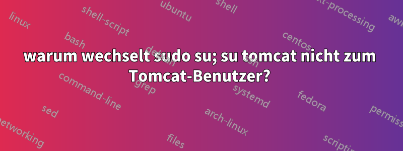 warum wechselt sudo su; su tomcat nicht zum Tomcat-Benutzer?