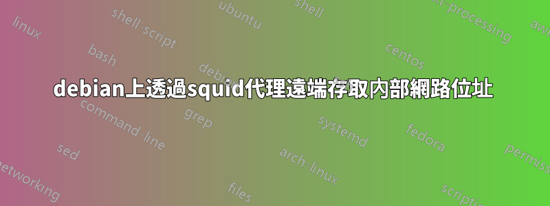 debian上透過squid代理遠端存取內部網路位址