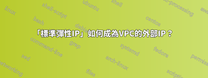 「標準彈性IP」如何成為VPC的外部IP？