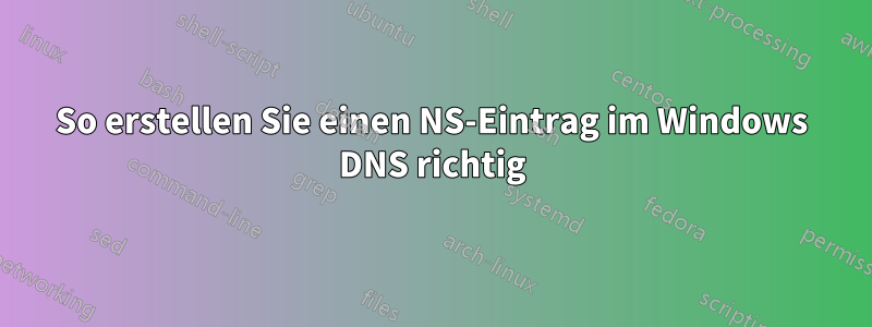 So erstellen Sie einen NS-Eintrag im Windows DNS richtig