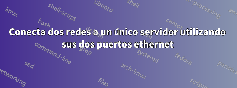 Conecta dos redes a un único servidor utilizando sus dos puertos ethernet