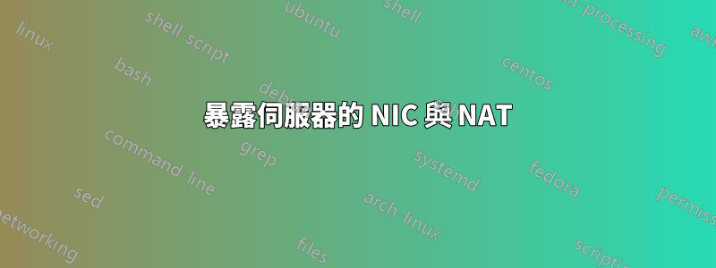 2 暴露伺服器的 NIC 與 NAT