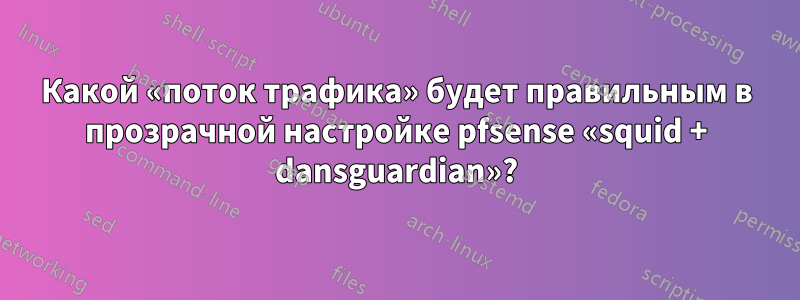 Какой «поток трафика» будет правильным в прозрачной настройке pfsense «squid + dansguardian»?