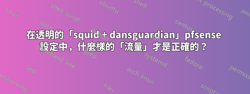 在透明的「squid + dansguardian」pfsense 設定中，什麼樣的「流量」才是正確的？