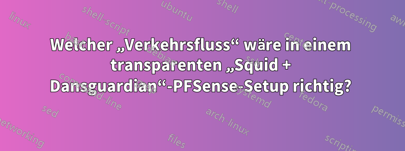 Welcher „Verkehrsfluss“ wäre in einem transparenten „Squid + Dansguardian“-PFSense-Setup richtig?