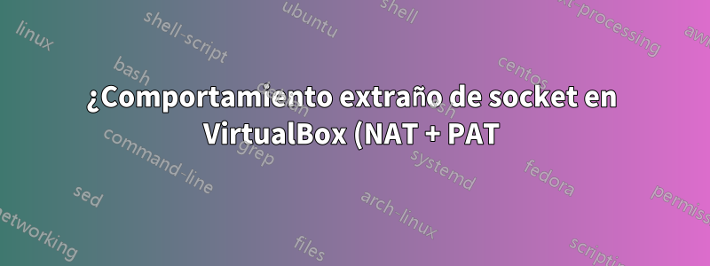 ¿Comportamiento extraño de socket en VirtualBox (NAT + PAT)?