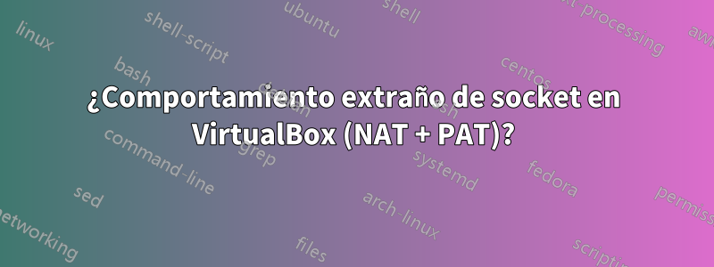 ¿Comportamiento extraño de socket en VirtualBox (NAT + PAT)?