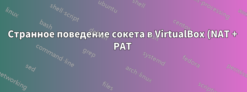 Странное поведение сокета в VirtualBox (NAT + PAT)?