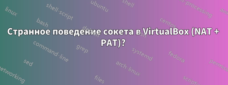 Странное поведение сокета в VirtualBox (NAT + PAT)?