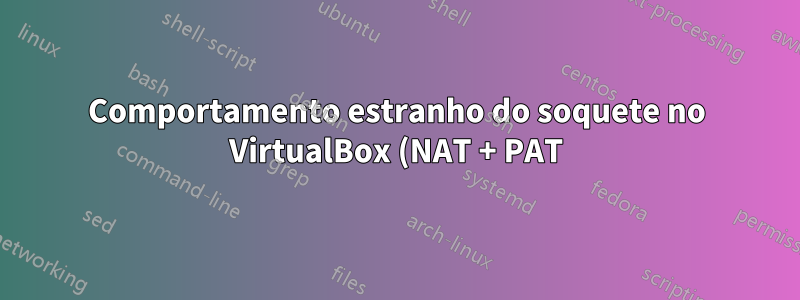 Comportamento estranho do soquete no VirtualBox (NAT + PAT)?