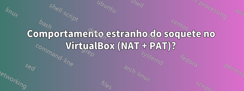 Comportamento estranho do soquete no VirtualBox (NAT + PAT)?