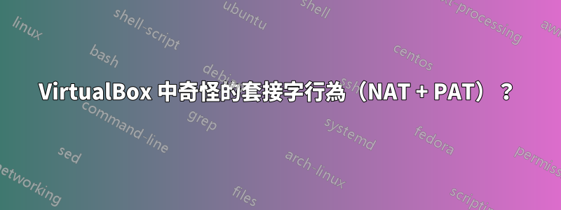 VirtualBox 中奇怪的套接字行為（NAT + PAT）？