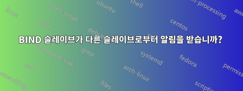 BIND 슬레이브가 다른 슬레이브로부터 알림을 받습니까?