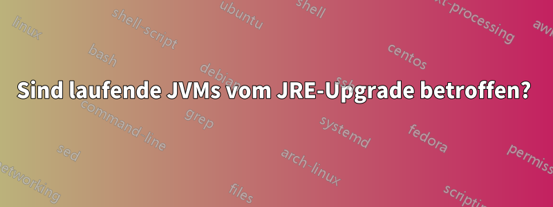 Sind laufende JVMs vom JRE-Upgrade betroffen?