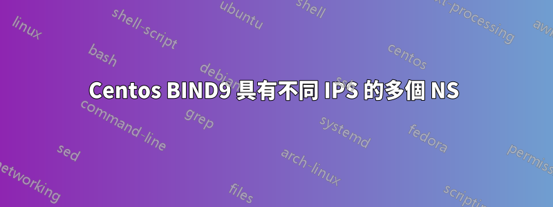 Centos BIND9 具有不同 IPS 的多個 NS
