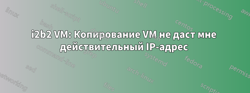 i2b2 VM: Копирование VM не даст мне действительный IP-адрес