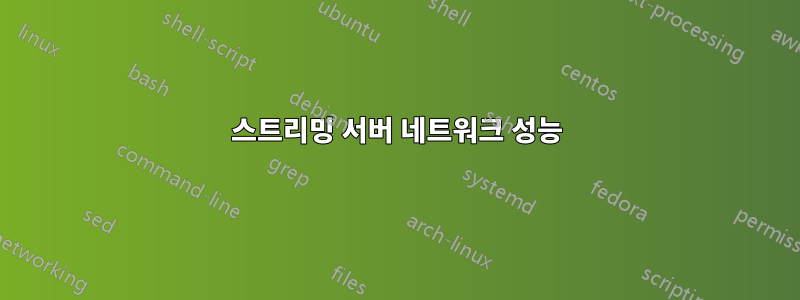 스트리밍 서버 네트워크 성능