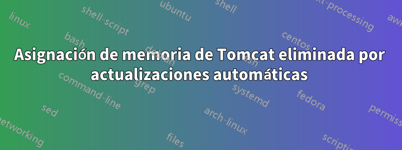 Asignación de memoria de Tomcat eliminada por actualizaciones automáticas