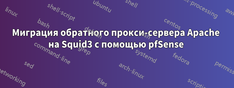 Миграция обратного прокси-сервера Apache на Squid3 с помощью pfSense