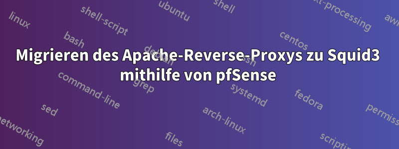 Migrieren des Apache-Reverse-Proxys zu Squid3 mithilfe von pfSense