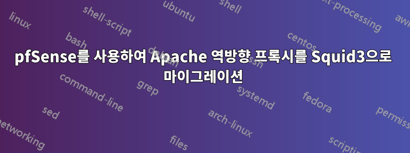 pfSense를 사용하여 Apache 역방향 프록시를 Squid3으로 마이그레이션