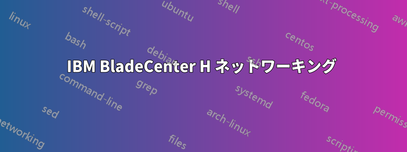 IBM BladeCenter H ネットワーキング