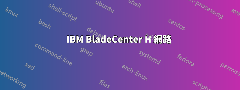 IBM BladeCenter H 網路