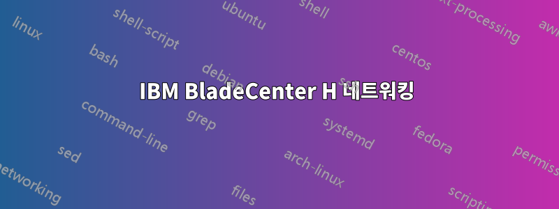 IBM BladeCenter H 네트워킹