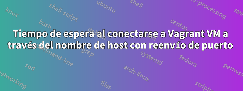 Tiempo de espera al conectarse a Vagrant VM a través del nombre de host con reenvío de puerto