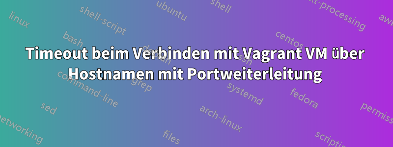 Timeout beim Verbinden mit Vagrant VM über Hostnamen mit Portweiterleitung