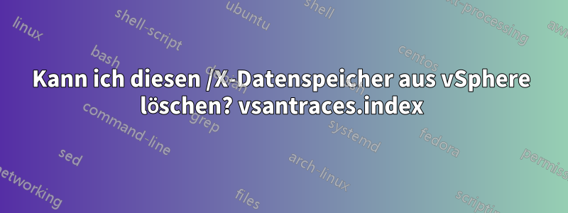 Kann ich diesen /X-Datenspeicher aus vSphere löschen? vsantraces.index