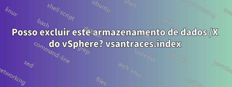 Posso excluir este armazenamento de dados /X do vSphere? vsantraces.index