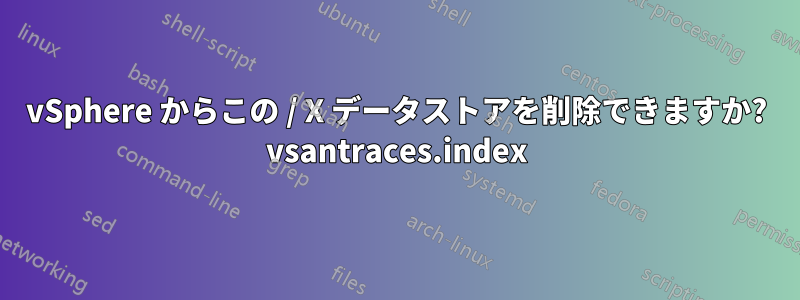 vSphere からこの / X データストアを削除できますか? vsantraces.index