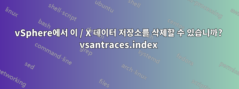 vSphere에서 이 / X 데이터 저장소를 삭제할 수 있습니까? vsantraces.index