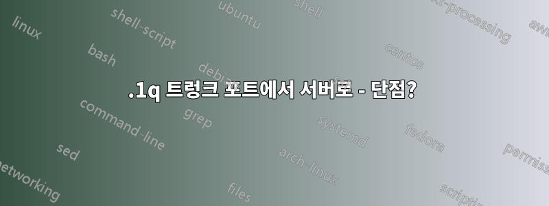 802.1q 트렁크 포트에서 서버로 - 단점?
