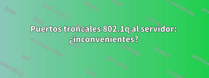 Puertos troncales 802.1q al servidor: ¿inconvenientes?