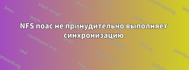 NFS noac не принудительно выполняет синхронизацию